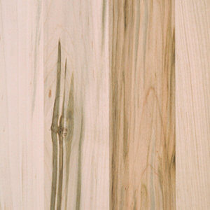 Wormy Maple Wood