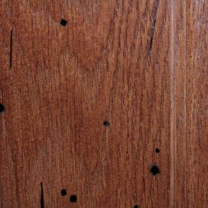 Reclaimed Barnwood (Smooth Face) with Caramel Stain Finish