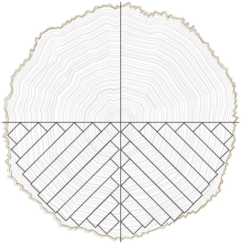Quarter-sawn Illustration